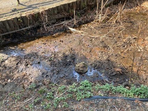 持ち込まれた時の状況