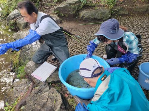 捕獲した水生生物の計測