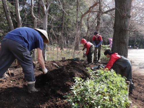 井の頭恩賜公園の研修の様子。土の掘削