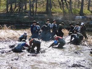 湿地保全の池底のシートはがし作業