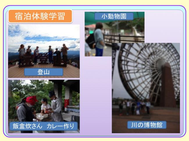 宿泊