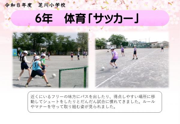 6年　体育