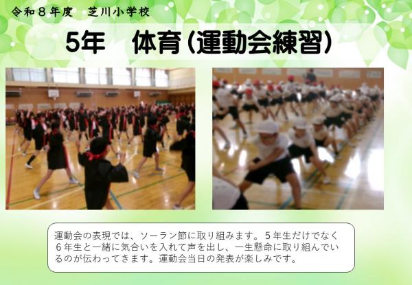 5年　運動会練習