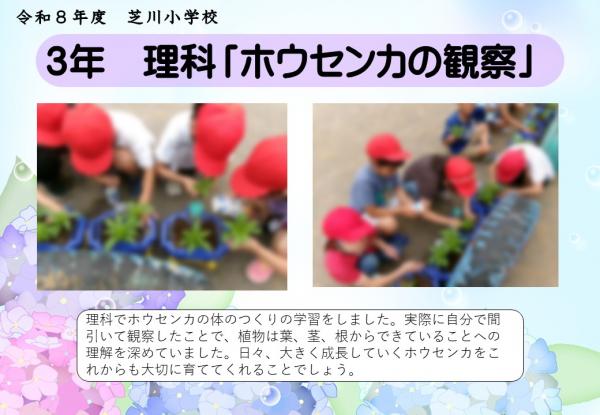 3年　理科