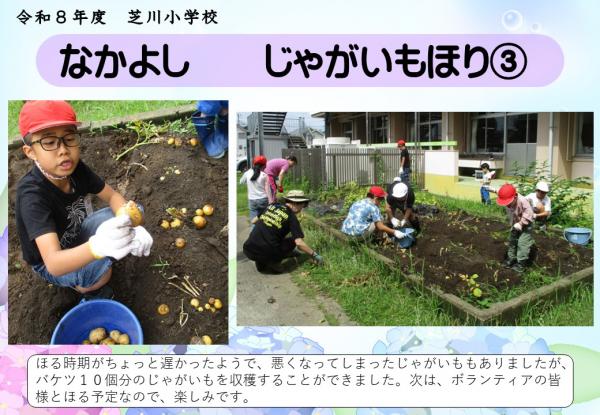 なかよし　じゃがいも
