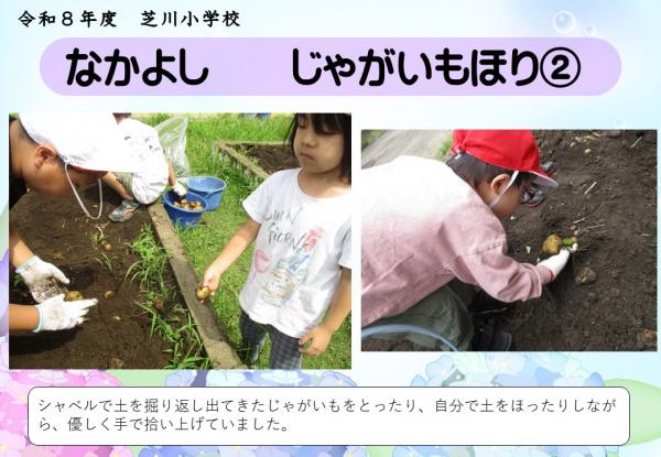 なかよし　じゃがいも