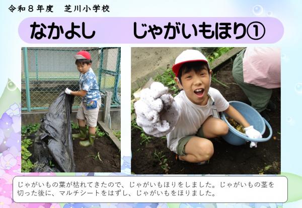 なかよし　じゃがいも