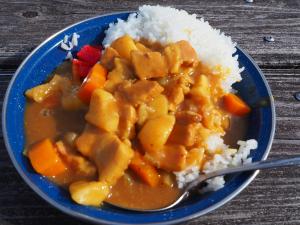 カレー⑤
