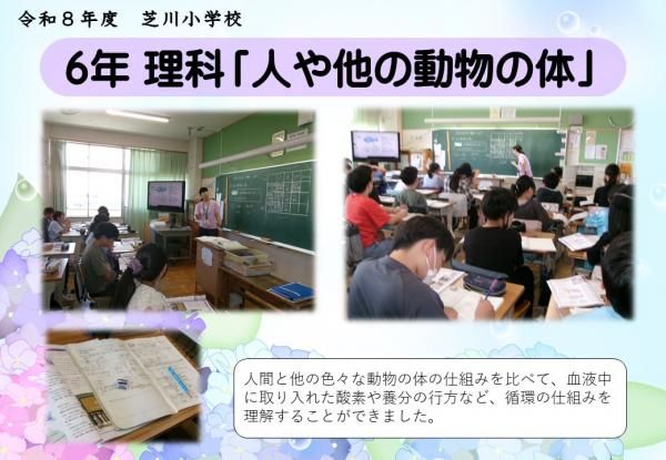 6年　理科
