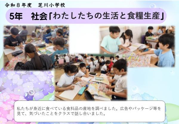 5年　社会