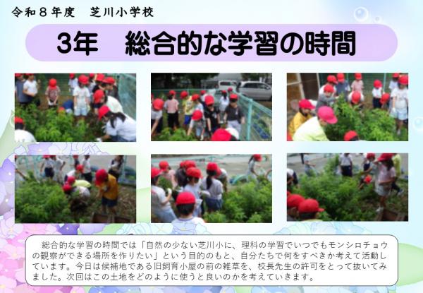 3年　総合
