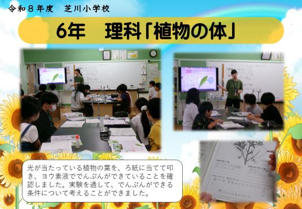 6年　理科