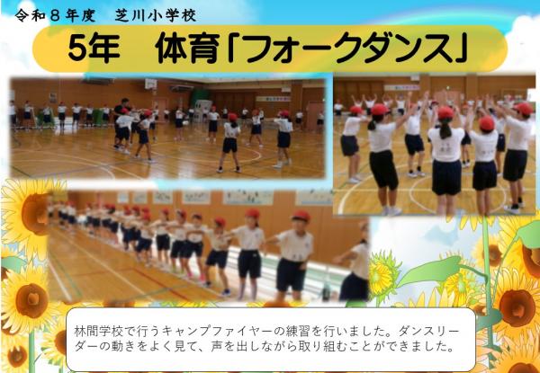 5年　体育